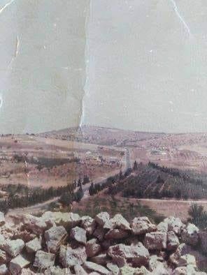 Ajloun Ibbin 1981